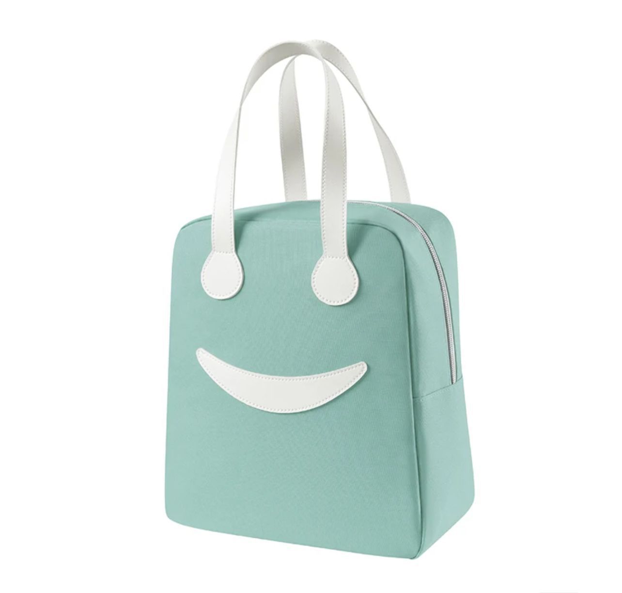 Tiffin / Lunch Bag For Unisex ( 5 Pieces)