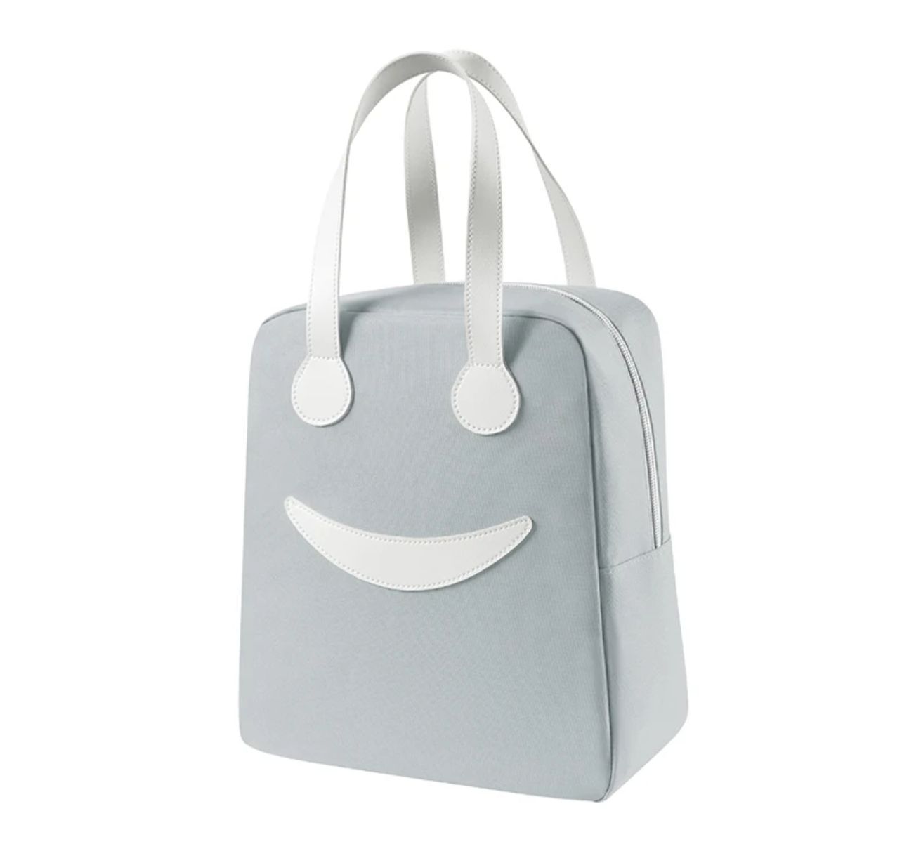 Tiffin / Lunch Bag For Unisex ( 5 Pieces)