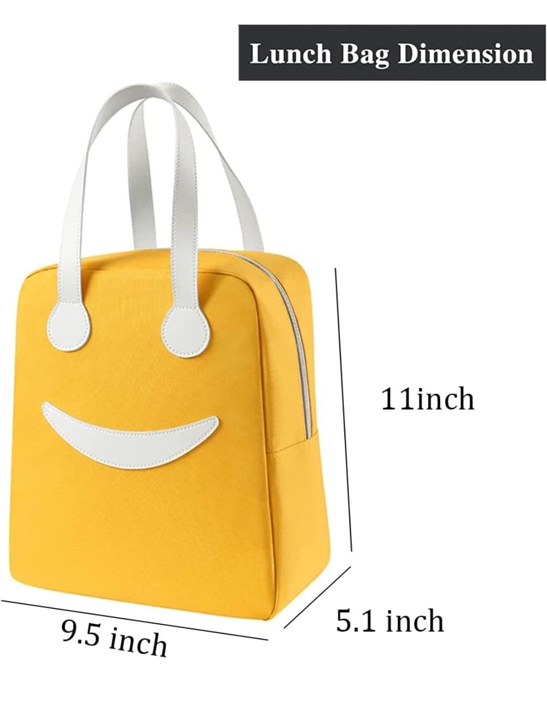 Tiffin / Lunch Bag For Unisex ( 5 Pieces)