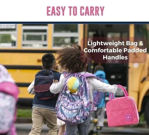Insulated Lunch Bag for Office School Picnic Outdoor Men Women Student (10 Pieces)