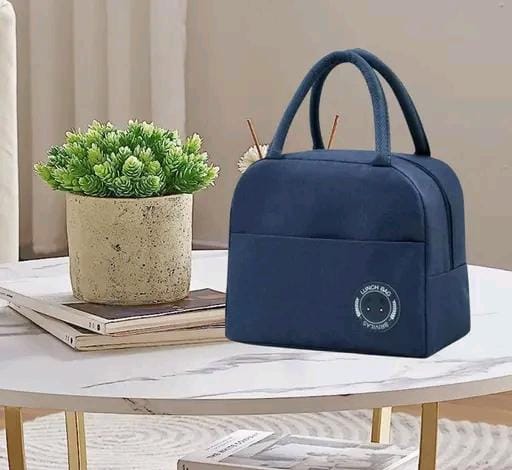 Insulated Lunch Bag for Office School Picnic Outdoor Men Women Student (10 Pieces)