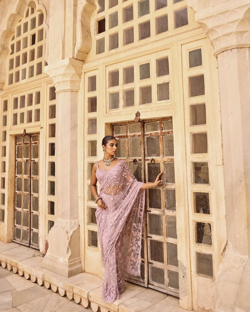 Bollywood Blockbuster Net Saree ā Heavy Multi & Sequin Embroidery with Glass Tassels | DF 3435