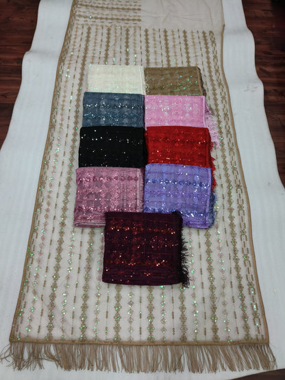 New Bollywood Blockbuster 5MM Multy Sequins Mono Net Saree – DF 3369