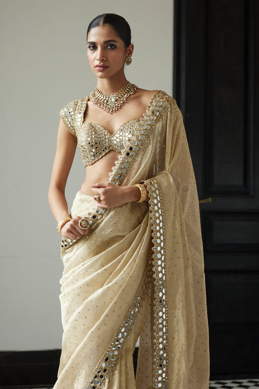 New Bollywood Blockbuster Original Mirror Work Organza Saree – DF 3450