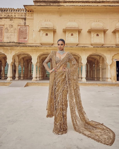 New Trending Bollywood Blockbuster Net Sequins Saree