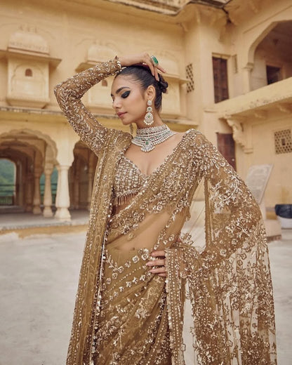 New Trending Bollywood Blockbuster Net Sequins Saree